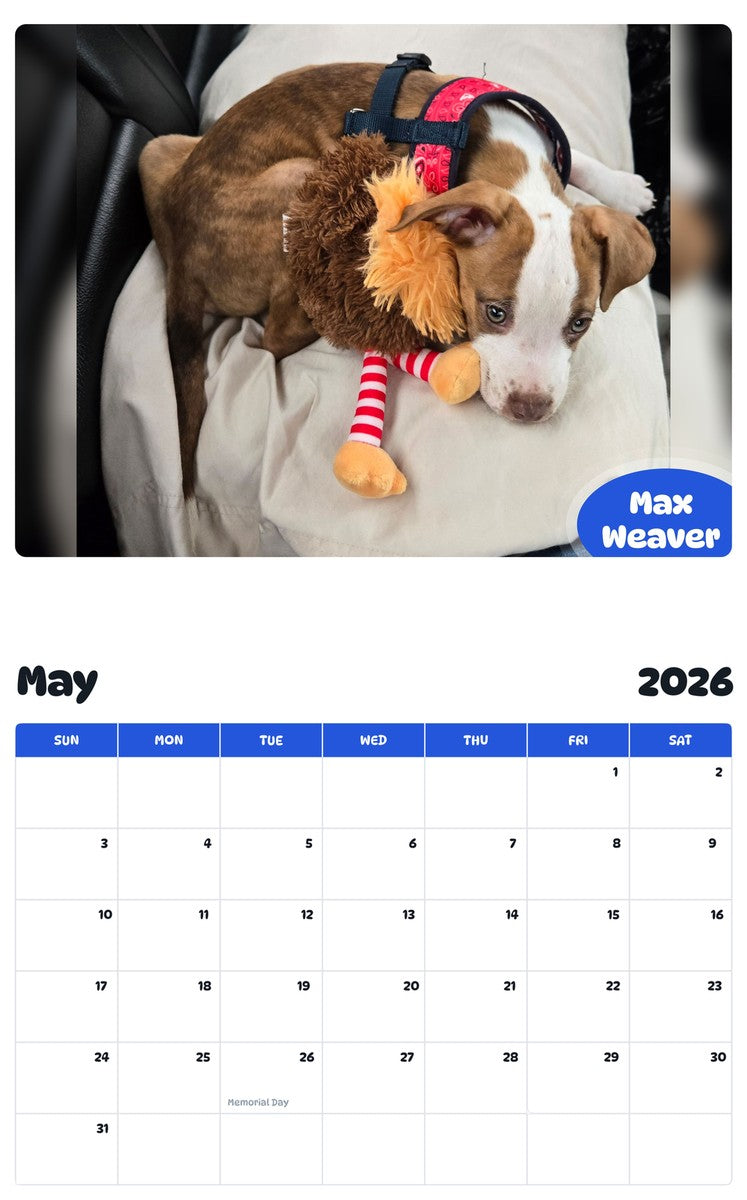 2026 - 2027 Max Weaver - Pawidols Pet Calendar