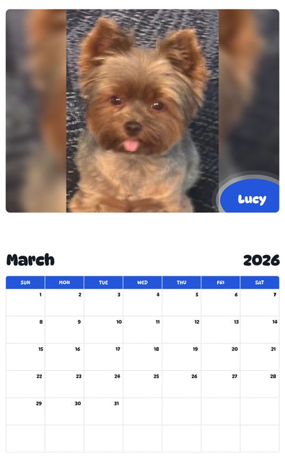 November 2025 - October 2026 Lucy - Pawidols Pet Calendar
