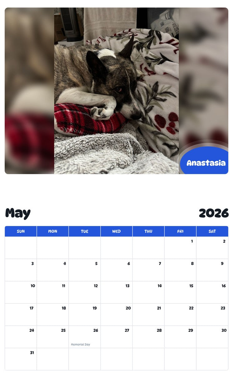 2026 - 2027 Anastasia - Pawidols Pet Calendar