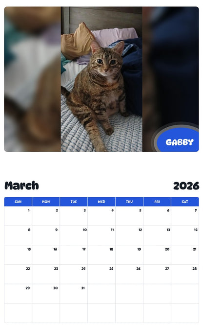 November 2025 - October 2026 GABBY - Pawidols Pet Calendar