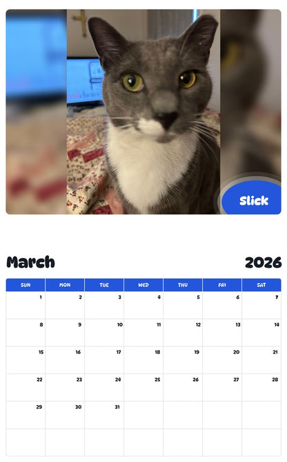 November 2025 - October 2026 Slick - Pawidols Pet Calendar