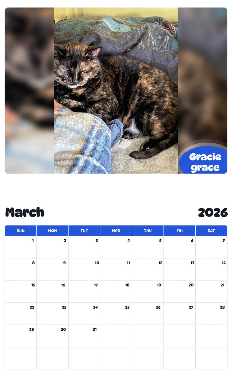 November 2025 - October 2026 Gracie grace - Pawidols Pet Calendar