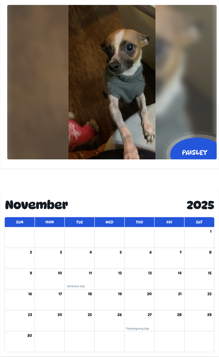 July 2025 - June 2026 Paisley - Pawidols Pet Calendar