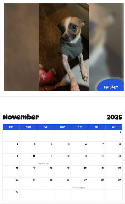 July 2025 - June 2026 Paisley - Pawidols Pet Calendar