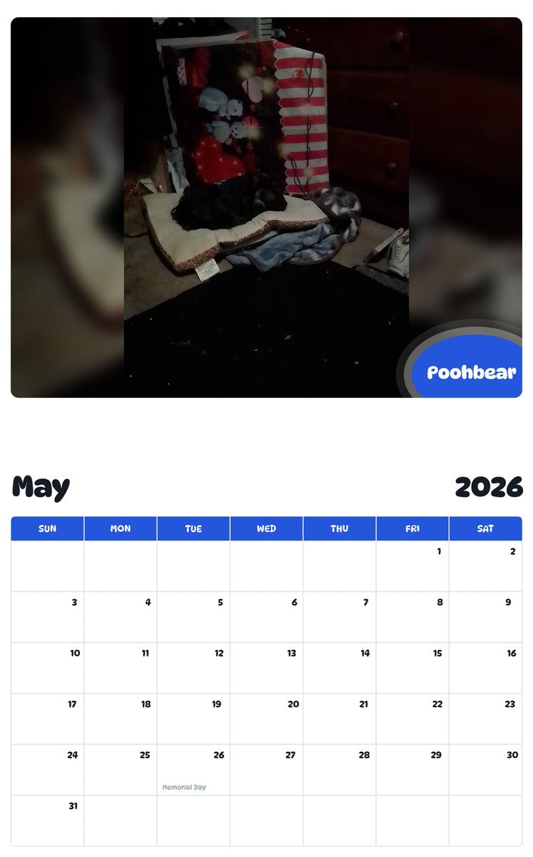 2026 - 2027 Poohbear - Pawidols Pet Calendar