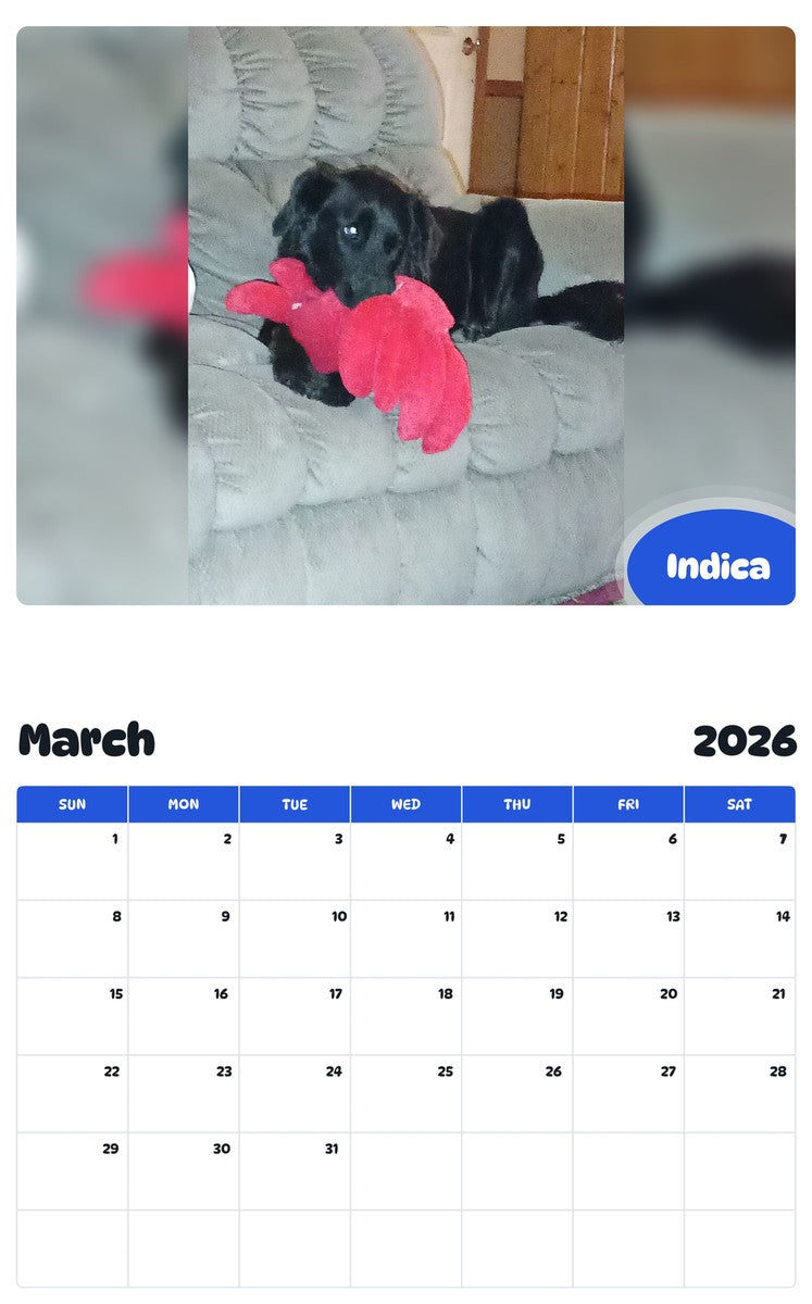 November 2025 - October 2026 Indica - Pawidols Pet Calendar