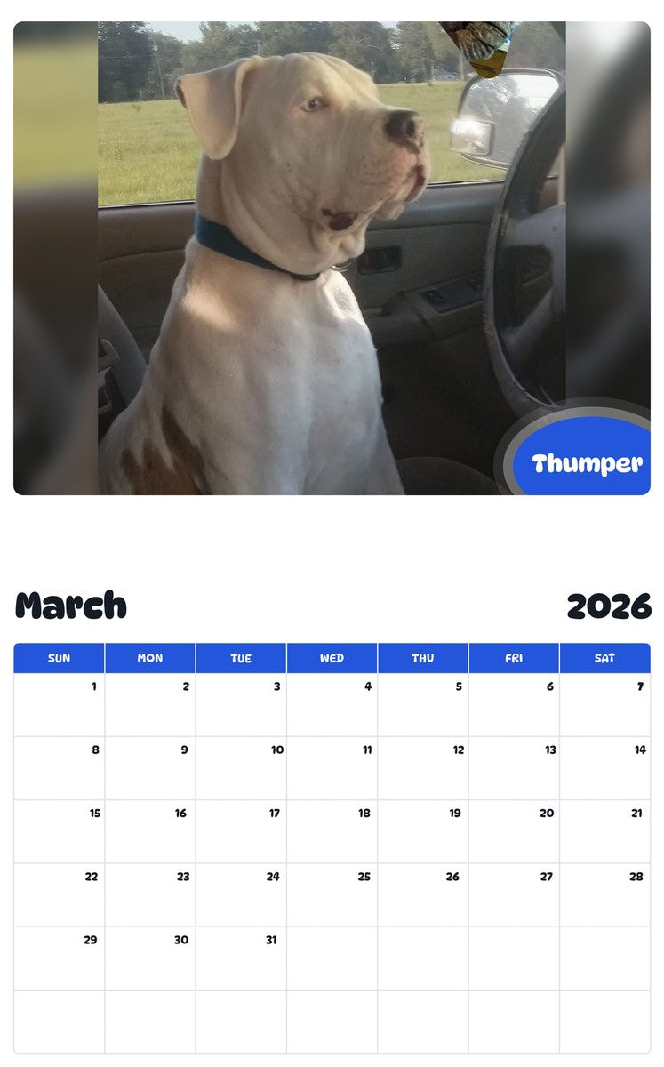 November 2025 - October 2026 Thumper - Pawidols Pet Calendar