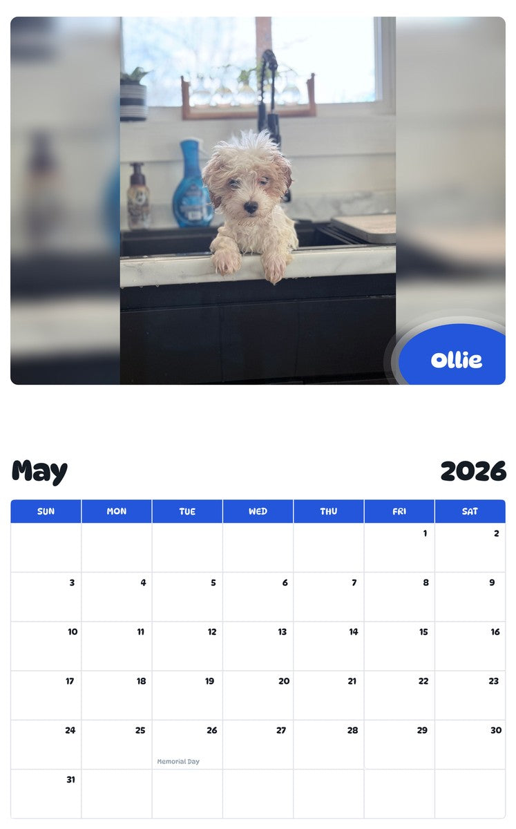 2026 - 2027 Ollie - Pawidols Pet Calendar