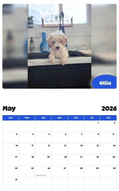 2026 - 2027 Ollie - Pawidols Pet Calendar