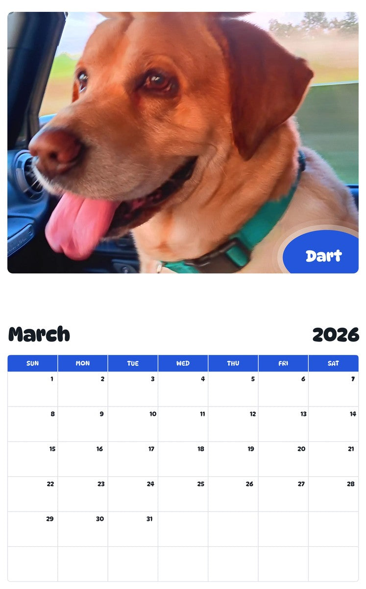 November 2025 - October 2026 Dart - Pawidols Pet Calendar