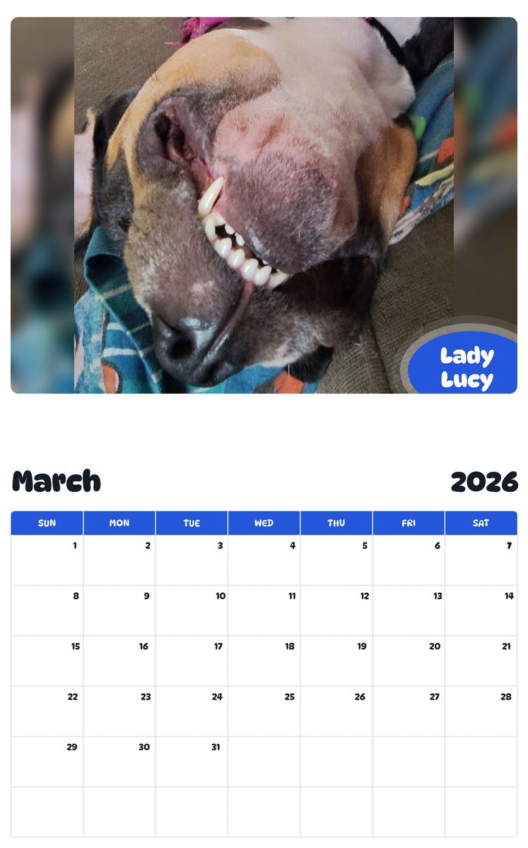 November 2025 - October 2026 Lady Lucy - Pawidols Pet Calendar