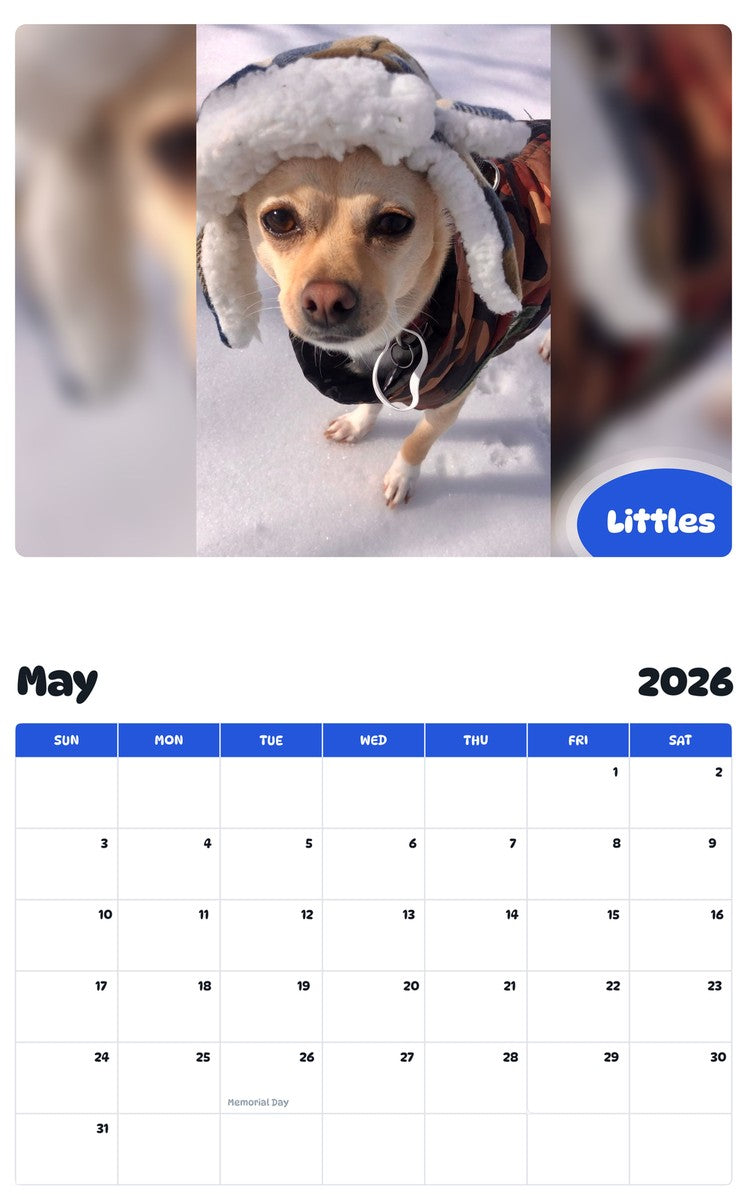 2026 - 2027 Littles - Pawidols Pet Calendar