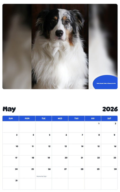 2026 - 2027 Dixie Roads Take A Chance On Me - Pawidols Pet Calendar