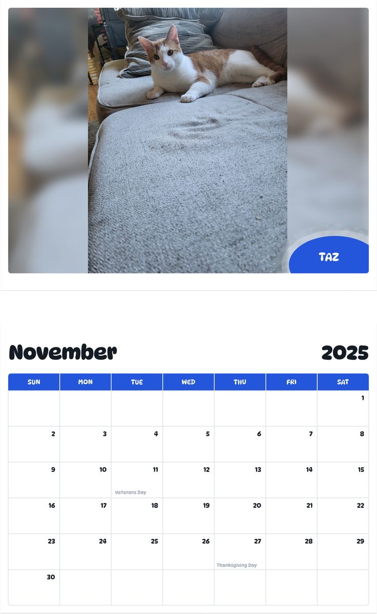 July 2025 - June 2026 Taz - Pawidols Pet Calendar