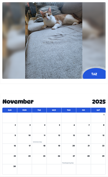 July 2025 - June 2026 Taz - Pawidols Pet Calendar