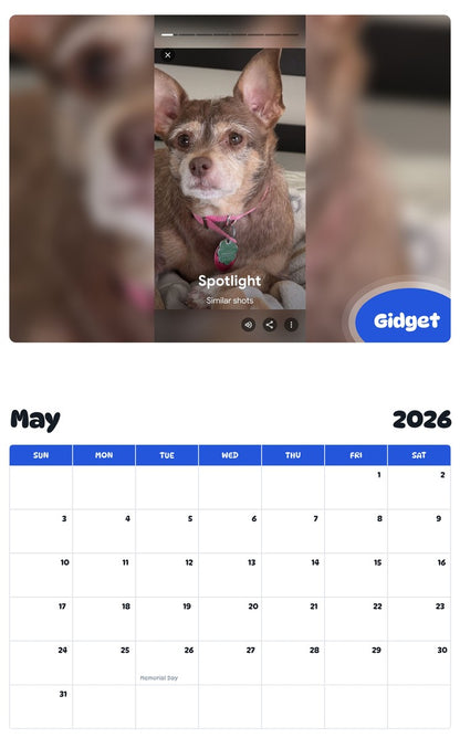 2026 - 2027 Gidget - Pawidols Pet Calendar