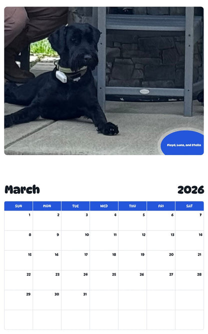 November 2025 - October 2026 Floyd, Luna, and Stella - Pawidols Pet Calendar