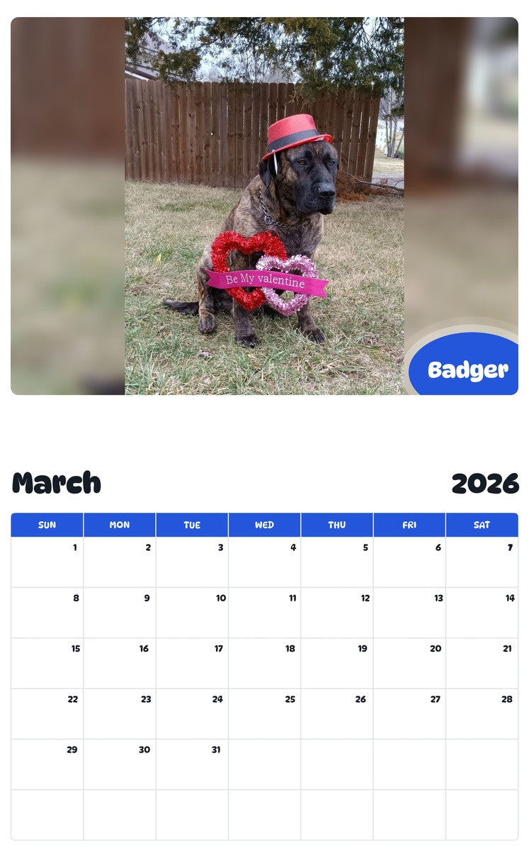 November 2025 - October 2026 Badger - Pawidols Pet Calendar