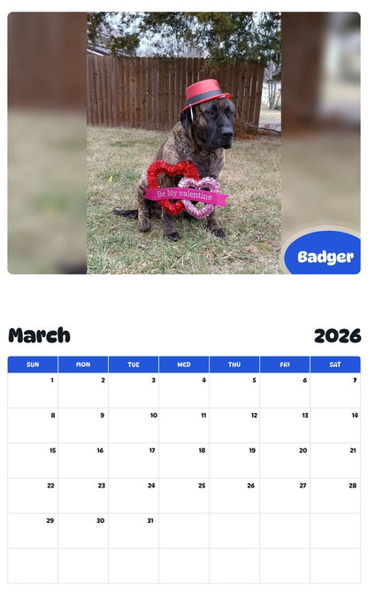 November 2025 - October 2026 Badger - Pawidols Pet Calendar