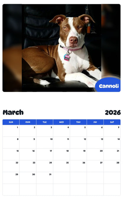 November 2025 - October 2026 Cannoli - Pawidols Pet Calendar