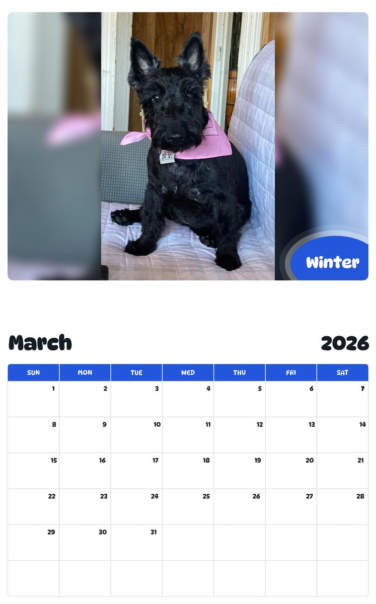 November 2025 - October 2026 Winter - Pawidols Pet Calendar