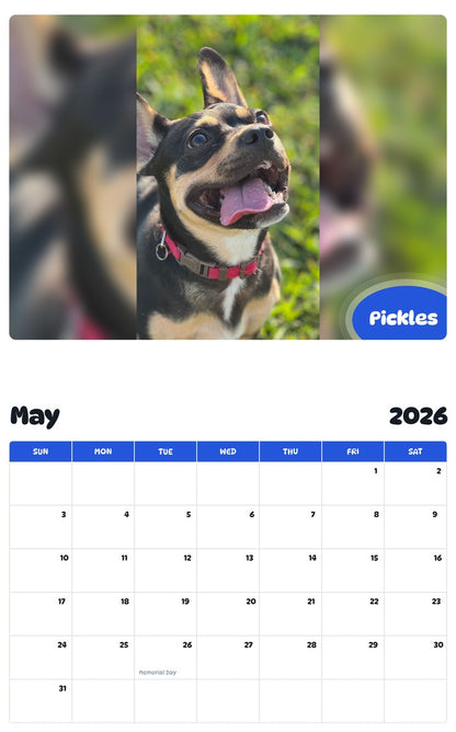 2026 - 2027 Pickles - Pawidols Pet Calendar