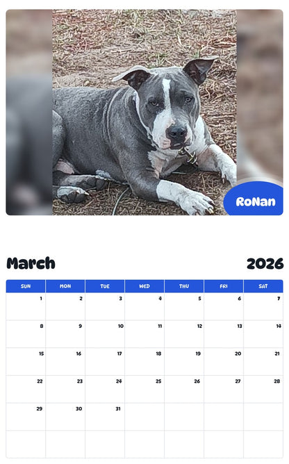 November 2025 - October 2026 RoNan - Pawidols Pet Calendar
