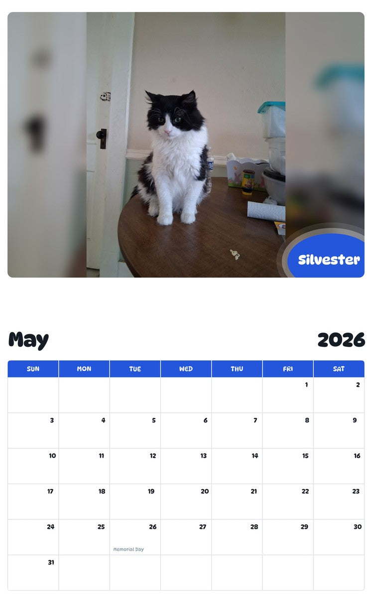 2026 - 2027 Silvester - Pawidols Pet Calendar