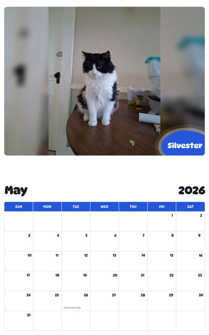 2026 - 2027 Silvester - Pawidols Pet Calendar
