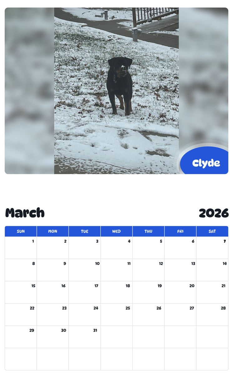 November 2025 - October 2026 Clyde - Pawidols Pet Calendar