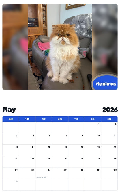 2026 - 2027 Maximus - Pawidols Pet Calendar