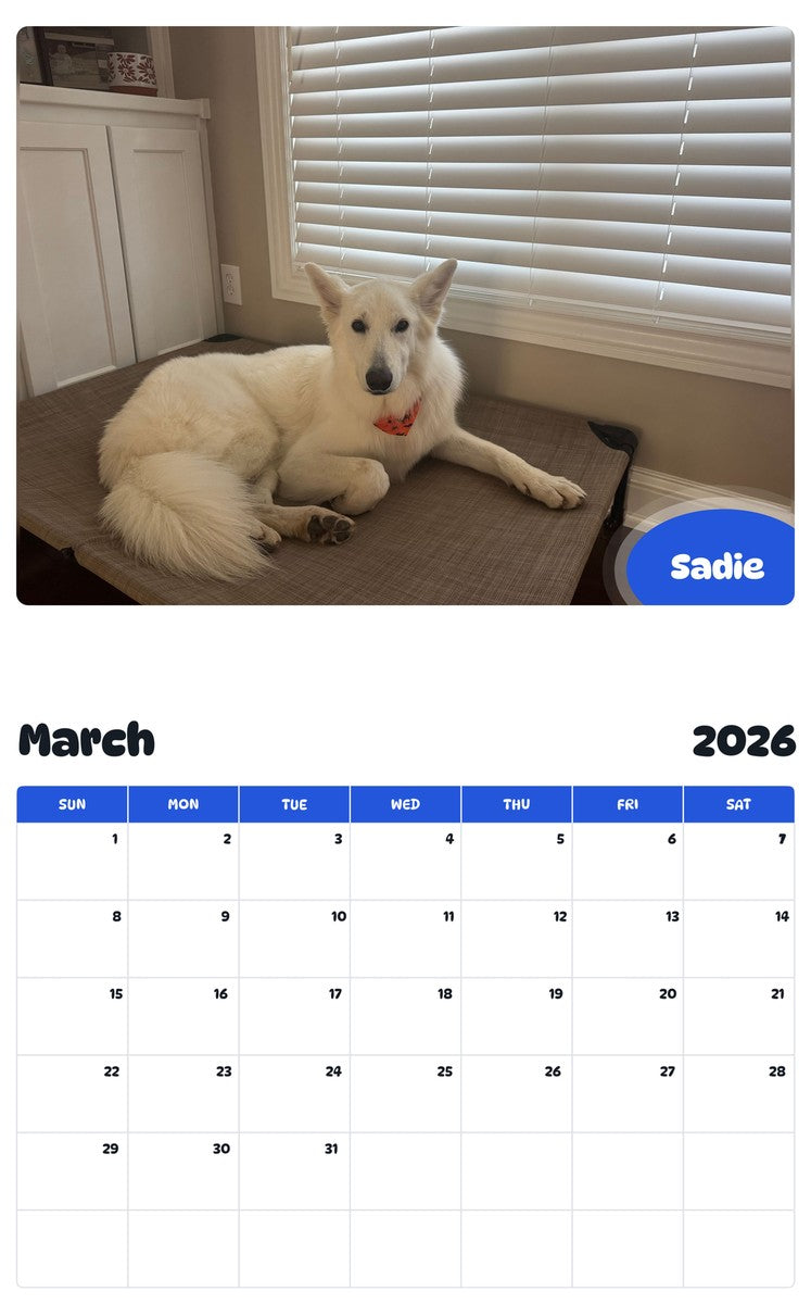November 2025 - October 2026 Sadie - Pawidols Pet Calendar
