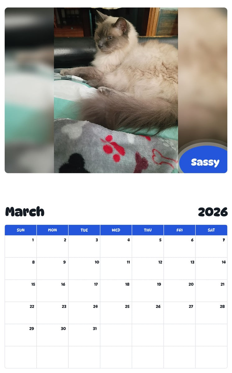 November 2025 - October 2026 Sassy - Pawidols Pet Calendar