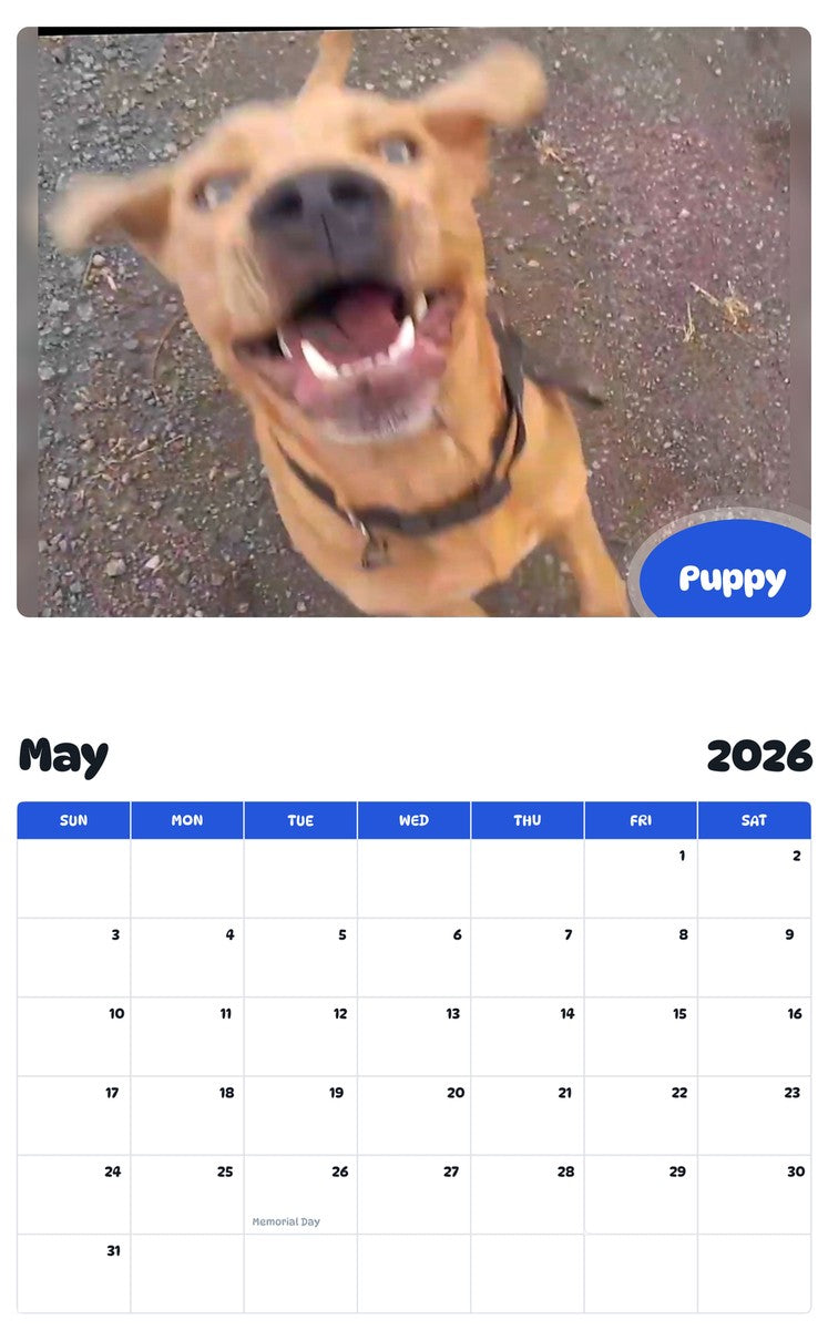 2026 - 2027 Puppy - Pawidols Pet Calendar
