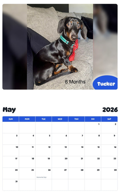 2026 - 2027 Tucker - Pawidols Pet Calendar