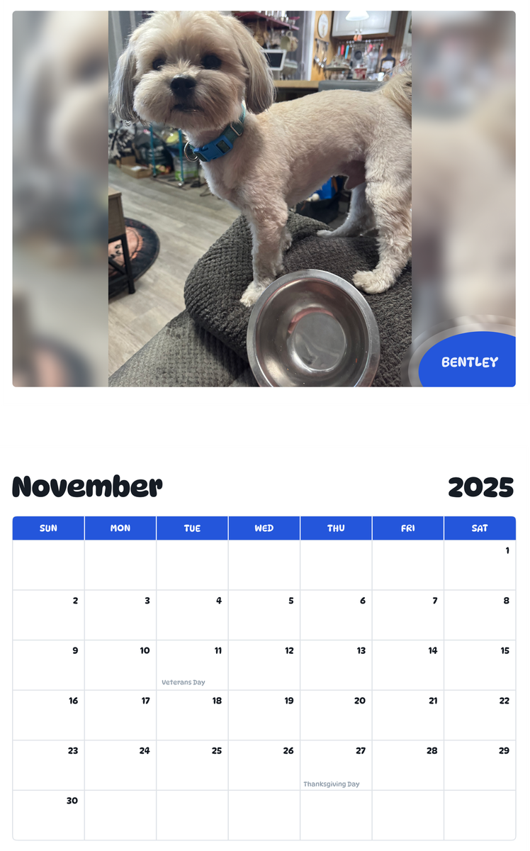 July 2025 - June 2026 Bentley - Pawidols Pet Calendar