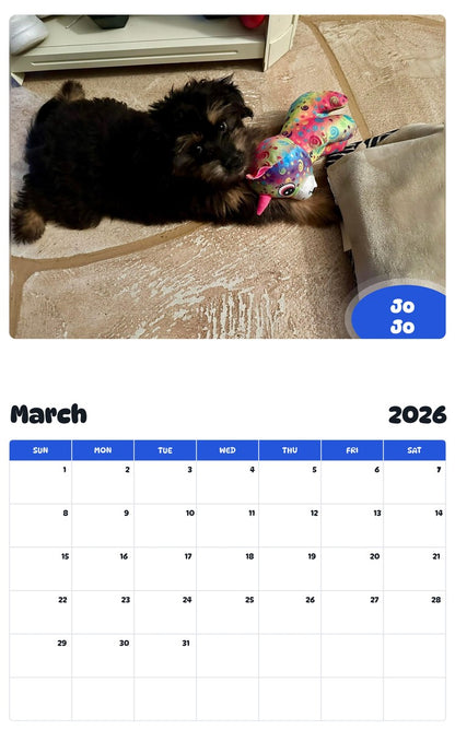 November 2025 - October 2026 Jo Jo - Pawidols Pet Calendar