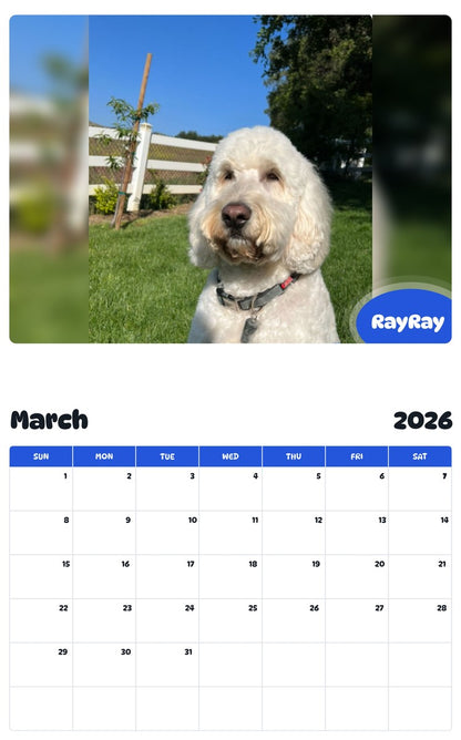November 2025 - October 2026 RayRay - Pawidols Pet Calendar