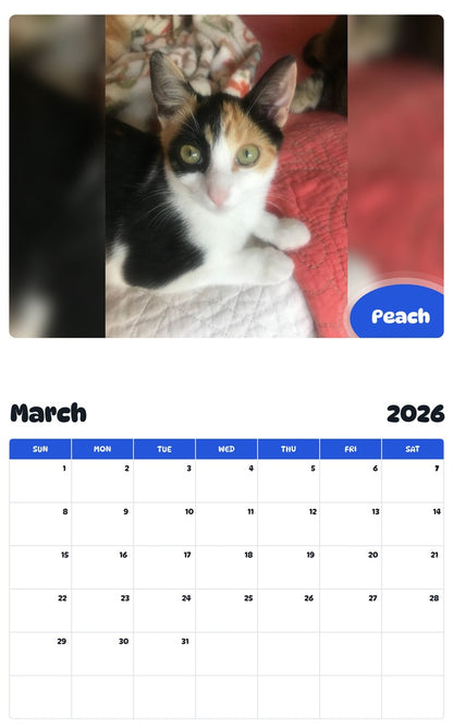 November 2025 - October 2026 Peach - Pawidols Pet Calendar