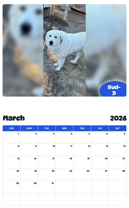 November 2025 - October 2026 Bud-D - Pawidols Pet Calendar
