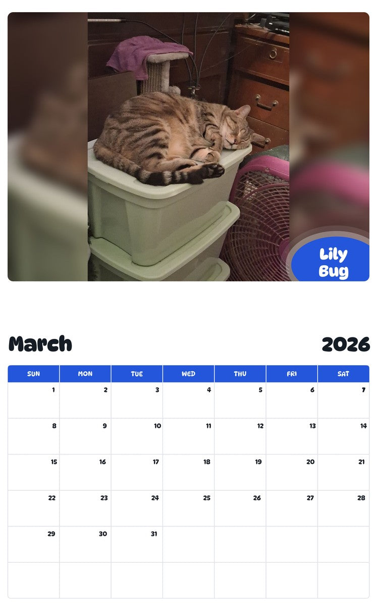 November 2025 - October 2026 Lily Bug - Pawidols Pet Calendar