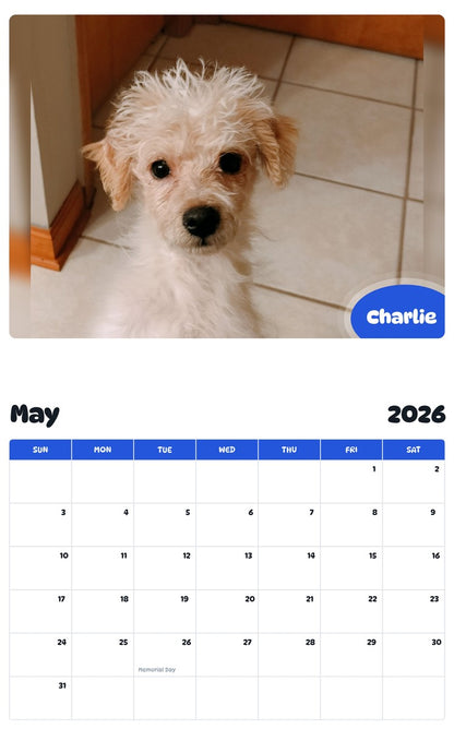 2026 - 2027 Charlie - Pawidols Pet Calendar