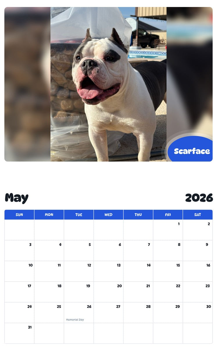 2026 - 2027 Scarface - Pawidols Pet Calendar