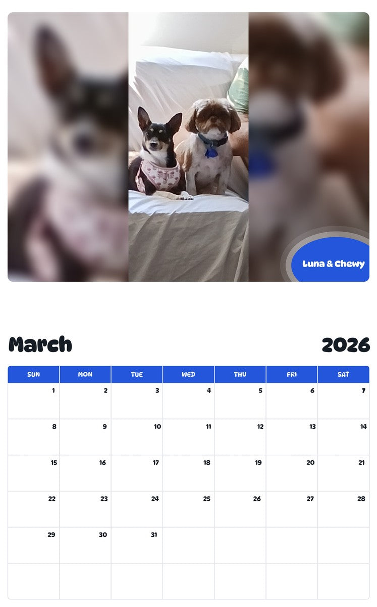 November 2025 - October 2026 Luna & Chewy - Pawidols Pet Calendar
