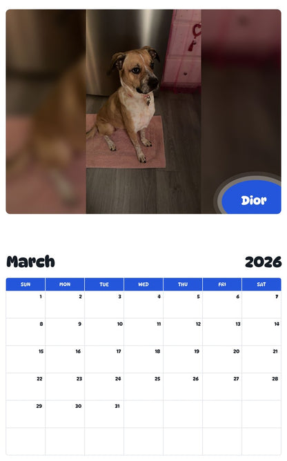 November 2025 - October 2026 Dior - Pawidols Pet Calendar