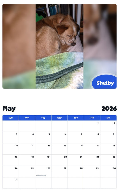 2026 - 2027 Shelby - Pawidols Pet Calendar