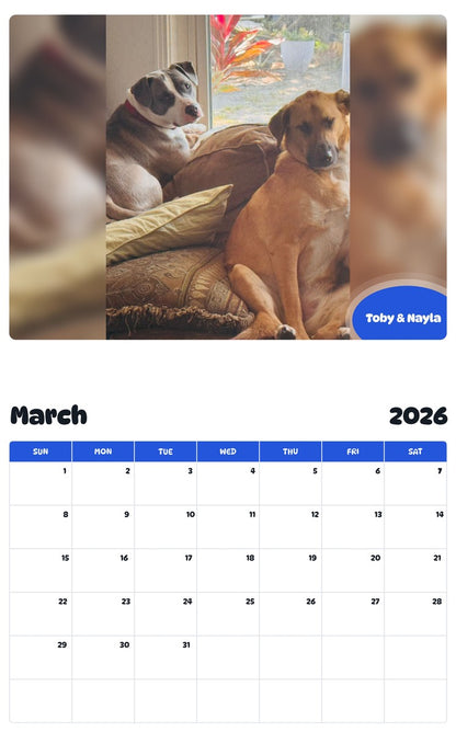 November 2025 - October 2026 Toby & Nayla - Pawidols Pet Calendar