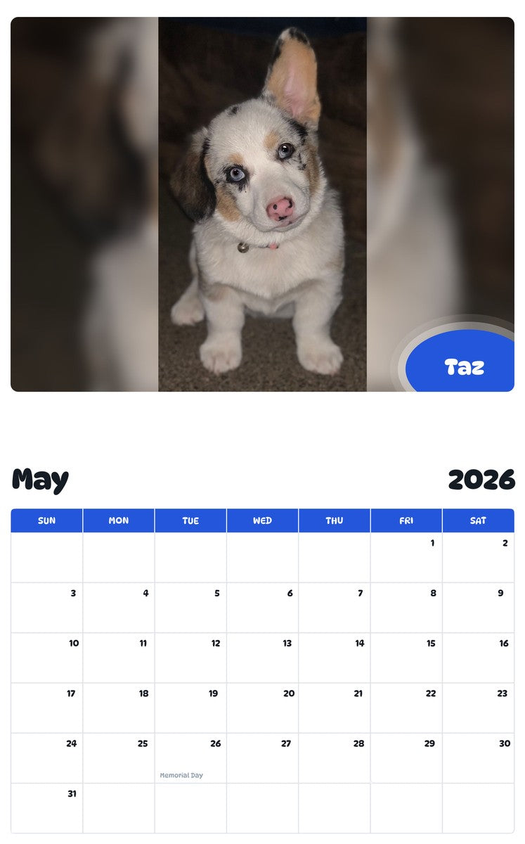 2026 - 2027 Taz - Pawidols Pet Calendar