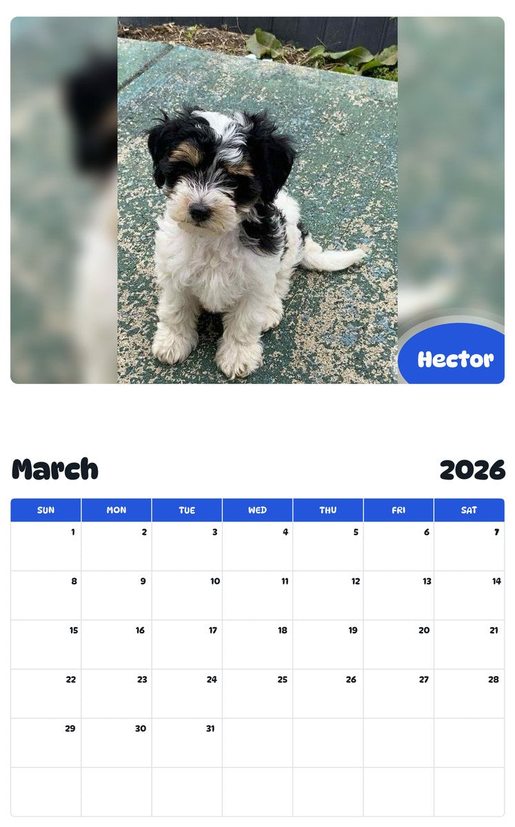 November 2025 - October 2026 Hector - Pawidols Pet Calendar