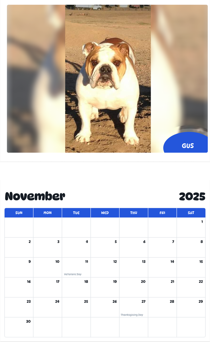July 2025 - June 2026 Gus - Pawidols Pet Calendar